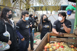 ING (E) en Energías Renovables y Sustentabilidad Ambienta