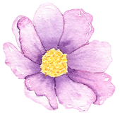 flor lilás.png