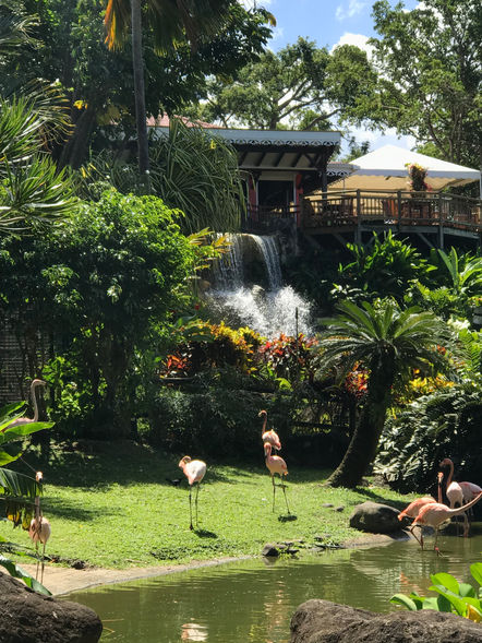 jardin botanique