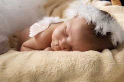 IMG_1673a.jpg