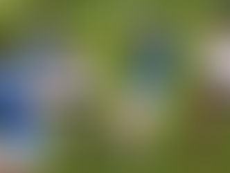 Beide Damenmannschaften gewinnen – Jetzt Saisonfinale!