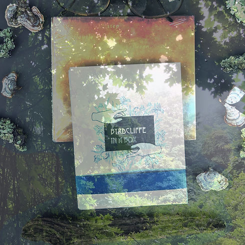 IMG_20200802_200815_2%2520(1)_edited_edi