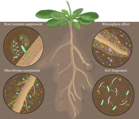 Bakker et al_illustration_final1 (1).jpg