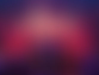 North Charleston Pops Orchestra
Features
Pets 4 G.I.s at Concert