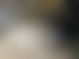 Hoarding (All White), The Campus