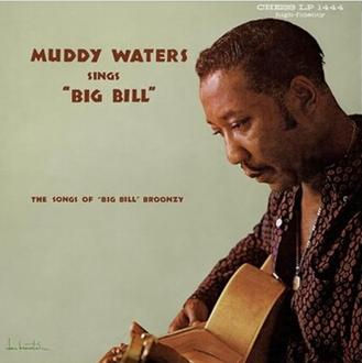 Muddy Waters Big Bill