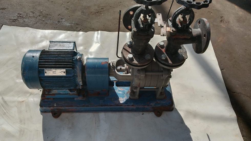 الصورة المصغرة: WATER PUMP FLOWSERVE,  3 KW