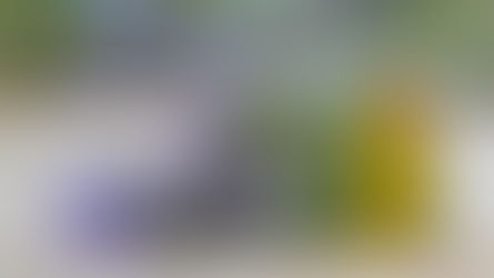 DIY Rosemary Hair Growth Spray – For Stronger, Longer, Healthier Hair Naturally!