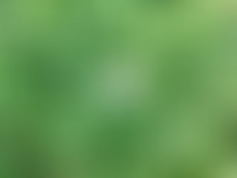 clover
