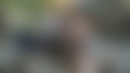 Universalidad de las medias rotas