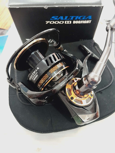 Molinete Daiwa Saltiga Dogfight 7000H(usado) | Cemporcentopesca