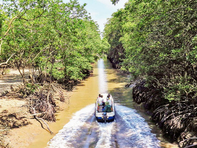 Sustainable management of mangroves ensures resources for future generations. Source: Internet