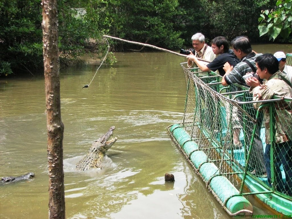 Du khách trải nghiệm các hoạt động ngoài trời tại khu du lịch Vàm Sát