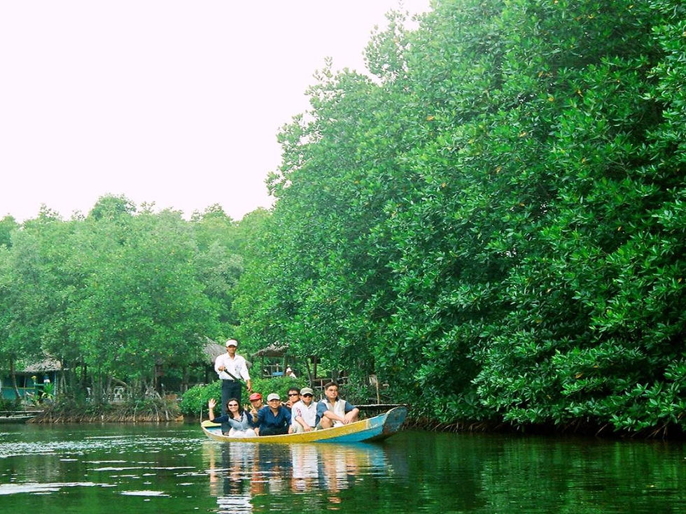 Mangrove roots stabilize soil and protect coastal areas from erosion and storms. Source: Internet