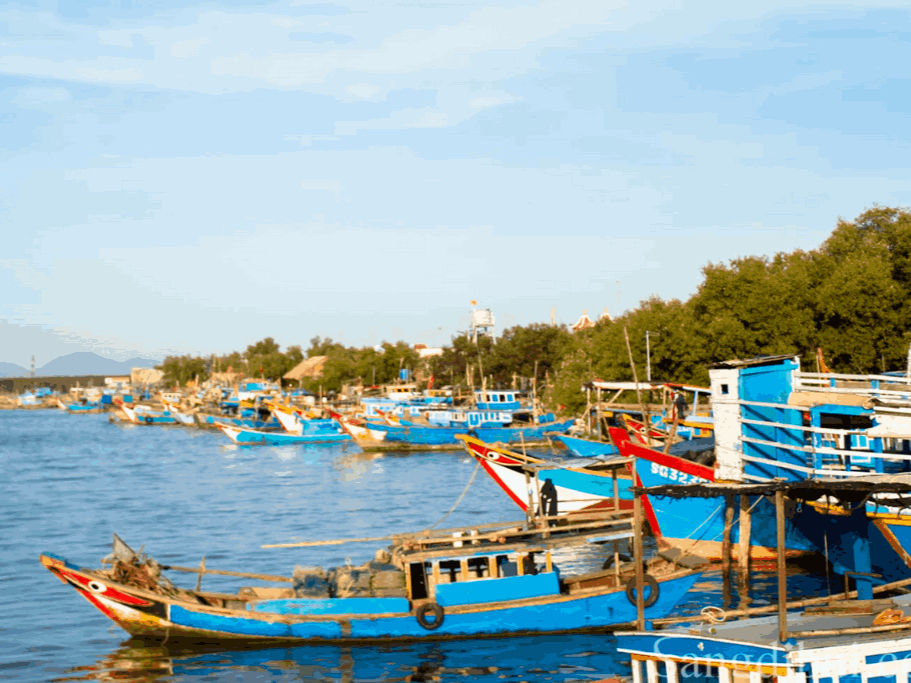 Làng chài bình yên tại Cần Giờ. Ảnh: Sưu tầm