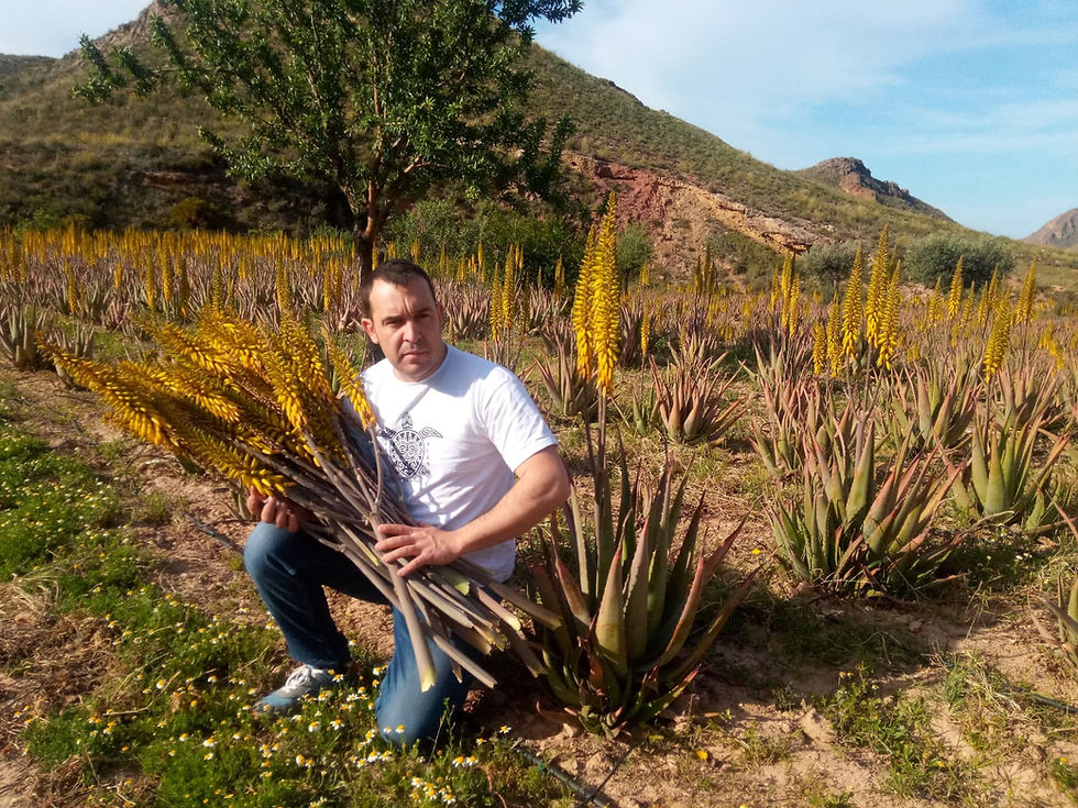 Thumbnail: Miel de Aloe Vera  Ecológica Campomiel 450 gr