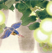 Biografia Dra Tamara