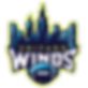 Ride the Wind Rule the Game (2).png
