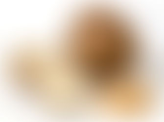 Sâm tố nữ - thần dược làm đẹp khiến chị em mê mẩn