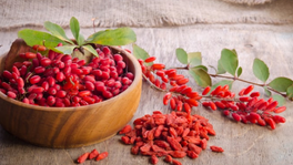 Hạt kỷ tử có tác dụng gì? Cách dùng hiệu quả và những lưu ý