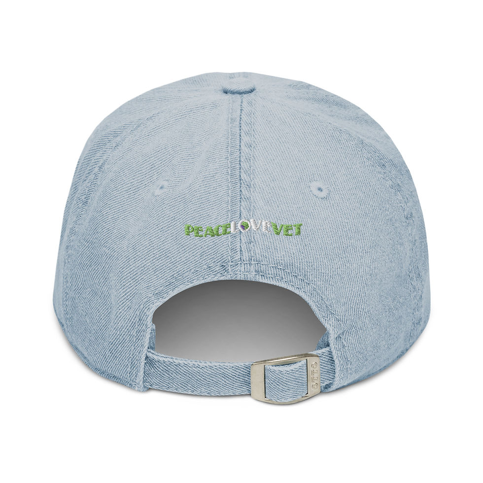 Thumbnail: 'Dog Dad' Denim Hat