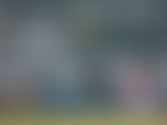 17. mai – Houstoni viis kodujooksu ühes voorus