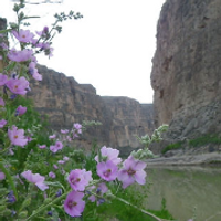Santa Elena Canyon Big Bend National Park