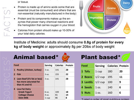 Nutrition Series: PROTEIN