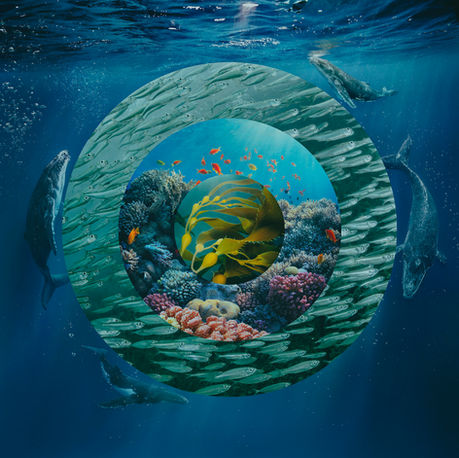 11012_Suncorp_Ocean_03_RGB.jpg