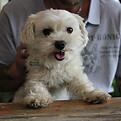 IMG_7381.JPG