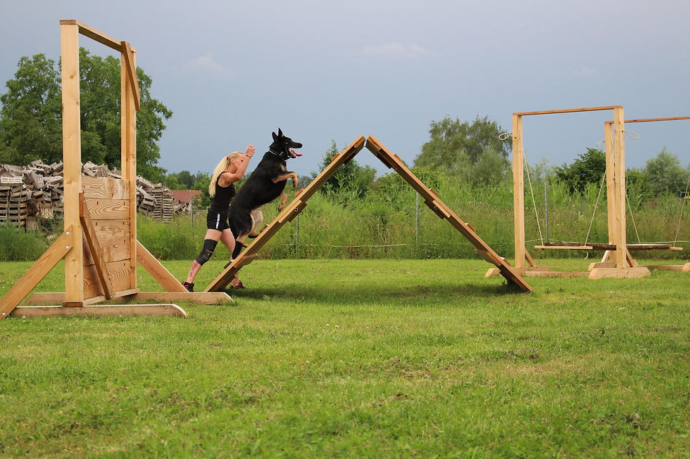 Hundeausbildung_01.jpg