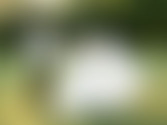 Bride in a flowing white dress and a Groom in a suit with suspenders twirling in a field during golden hour laughing