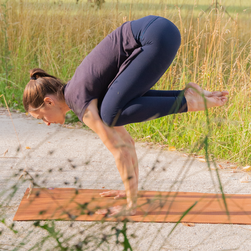 Explore Arm Balances