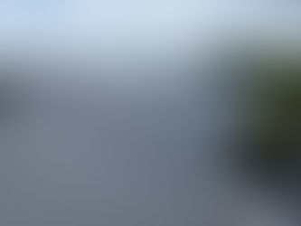 Roof Replacement Cost & Options in Merritt Island: What Homeowners Should Know