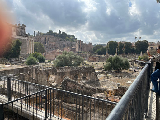🏛️ Forum Romain & Mont Palatin : au cœur de la Rome antique