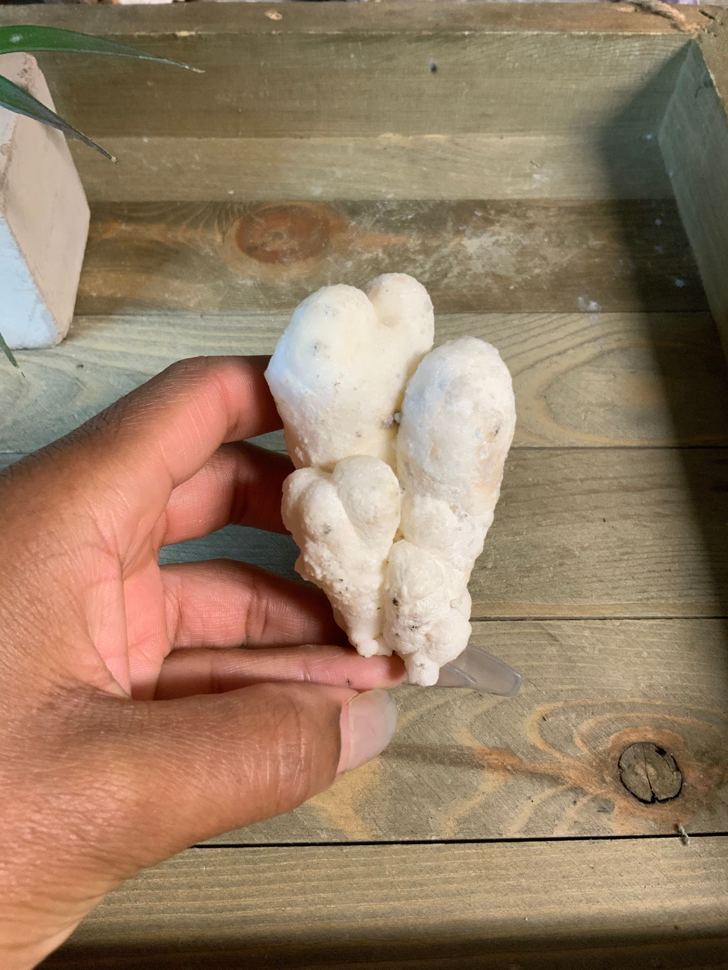 Large White Aragonite