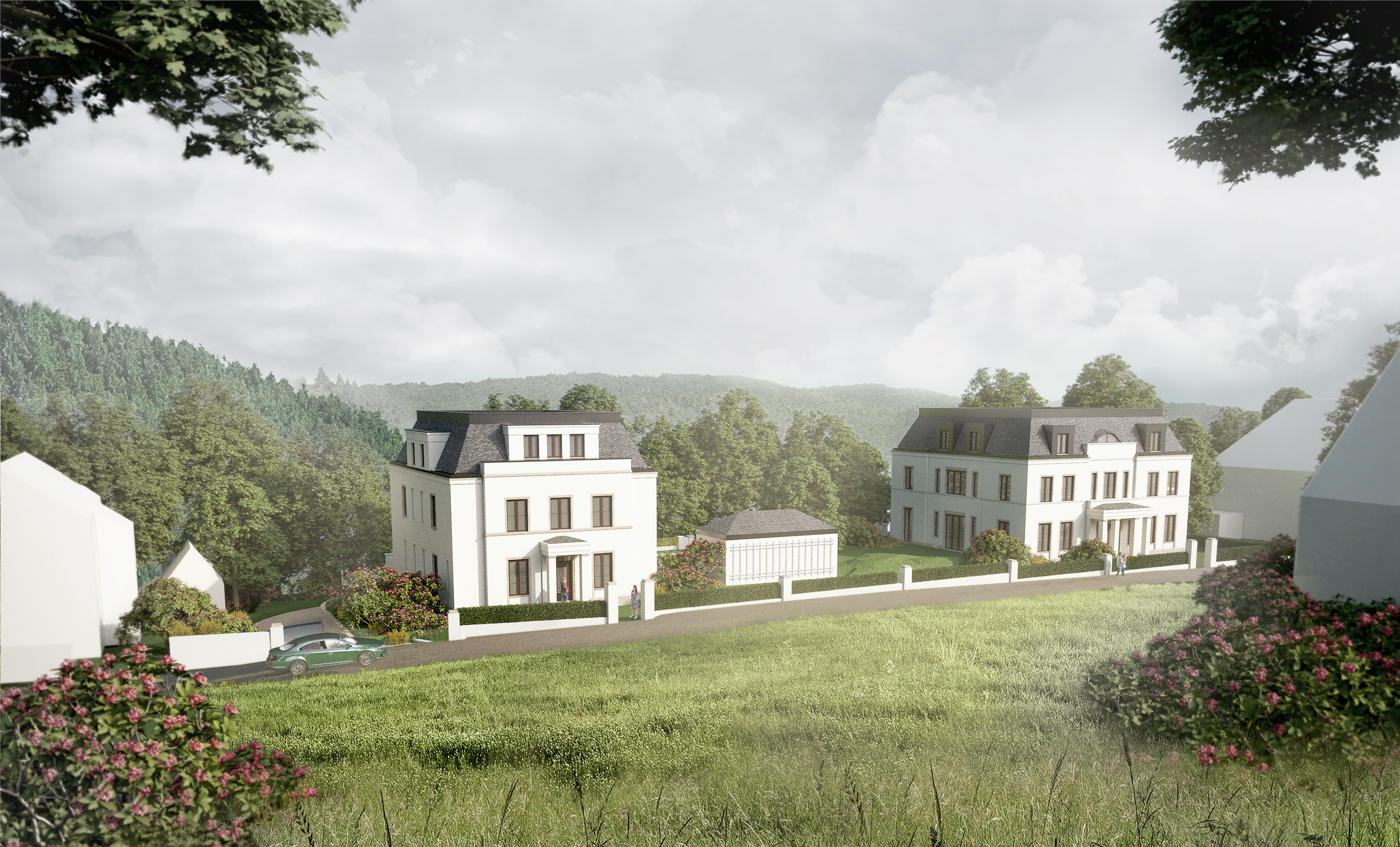 210320_HWS - Kam 02 - entsättigt.jpg