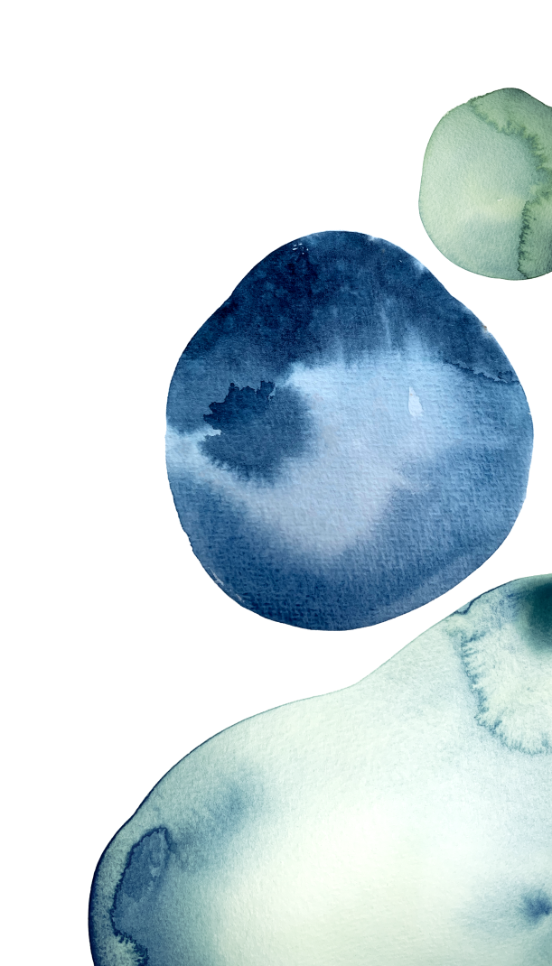 section background.png