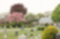 greenfieldphoto.jfif