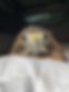 IMG_6089.jpeg
