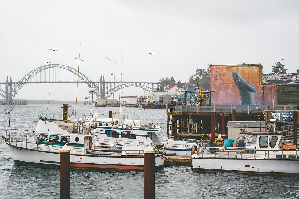 Downtown Newport Oregon and Yaquina Bay Bridge