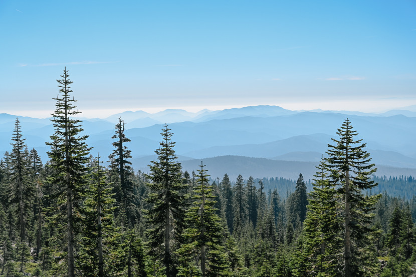Views from Bunny Flat Trail at Mount Shasta, California