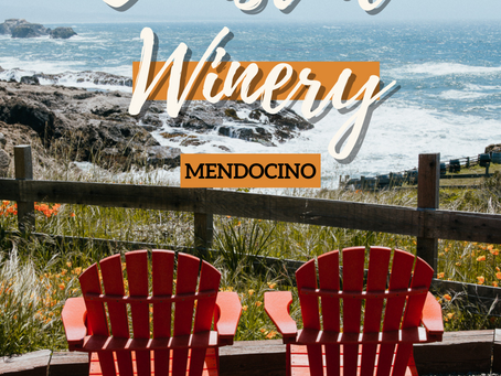 Pacific Star Winery: Must Visit Coastal Winery in Fort Bragg, Ca 