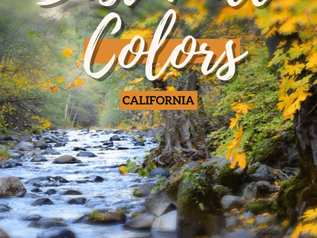 Top 10 Fall Destinations to Visit in California (Best Fall Colors + Festivities!)