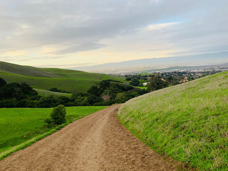 5 Most Popular Hikes in California According to AllTrails