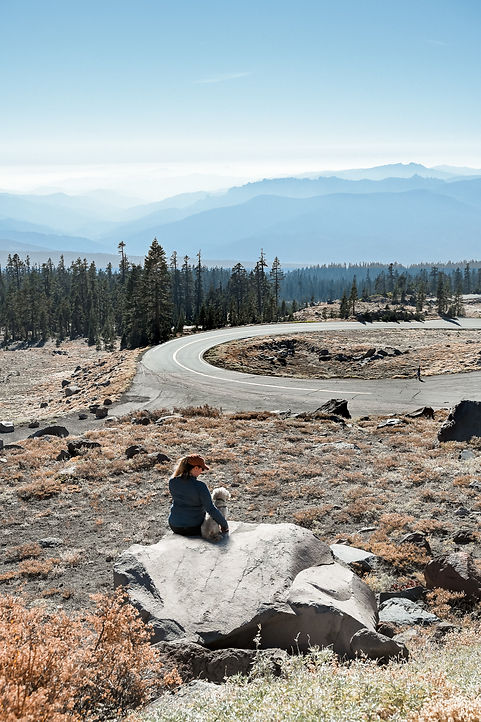 Britt and Dog sitting on rock looking out to Mt Shasta mountain range on hike.