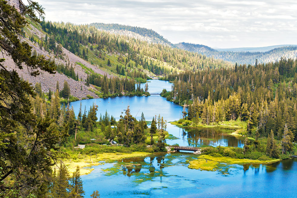 Mammoth Lakes