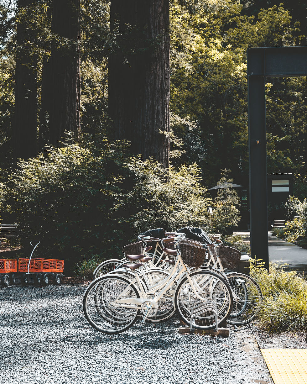 Late April had beautiful weather in the Russian River Valley!