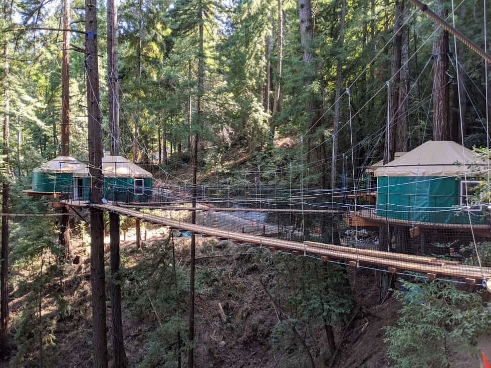 Sonoma Zipline Adventures Treehouse Glamping Tents