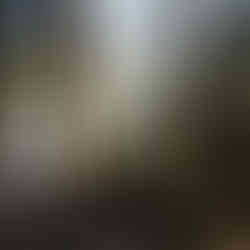 Camp Sites at Ruth Lake California